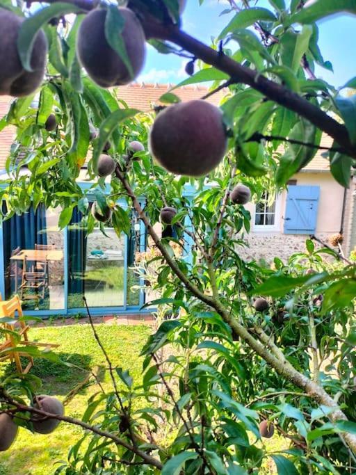 Charmante Maisonnette En Pierre Écardenville-sur-Eure Esterno foto